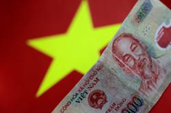 Forex rates cool after Vietnam central bank intervention