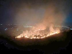 Hot spell triggers fire at Broga Hill